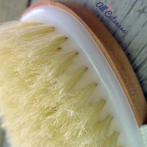 Popchose Dry Brushing Body Brush - Picture 2 of 4